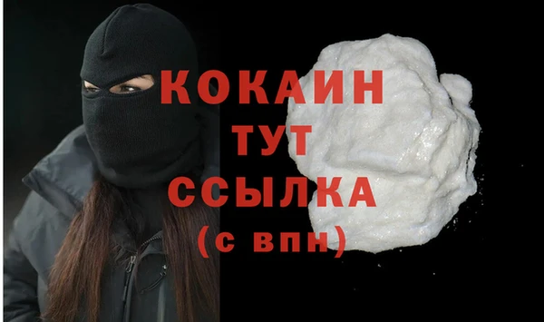 спиды Богородицк