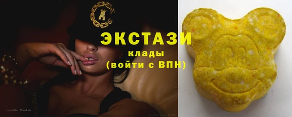 спиды Богородицк