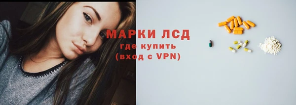 спиды Богородицк