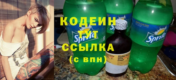 спиды Богородицк