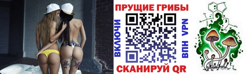 Псилоцибиновые грибы прущие грибы  Мезень 